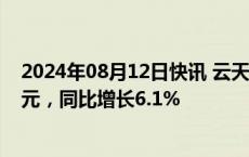 2024年08月12日快讯 云天化：上半年归母净利润28.41亿元，同比增长6.1%