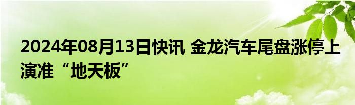 2024年08月13日快讯 金龙汽车尾盘涨停上演准“地天板”