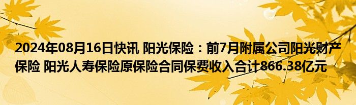 2024年08月16日快讯 阳光保险：前7月附属公司阳光财产保险 阳光人寿保险原保险合同保费收入合计866.38亿元