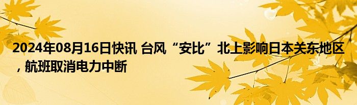 2024年08月16日快讯 台风“安比”北上影响日本关东地区，航班取消电力中断