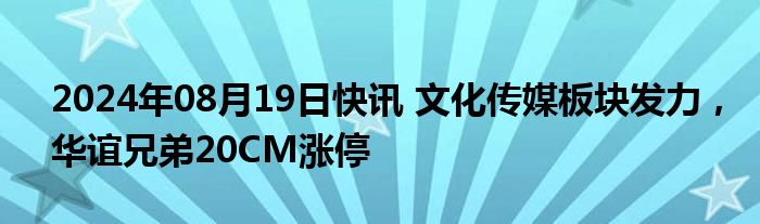 2024年08月19日快讯 文化传媒板块发力，华谊兄弟20CM涨停