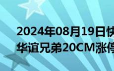 2024年08月19日快讯 文化传媒板块发力，华谊兄弟20CM涨停