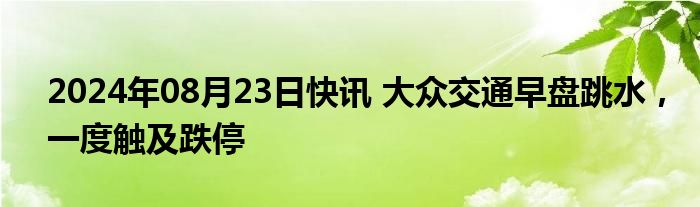 2024年08月23日快讯 大众交通早盘跳水，一度触及跌停