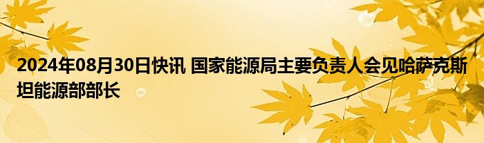 2024年08月30日快讯 国家能源局主要负责人会见哈萨克斯坦能源部部长