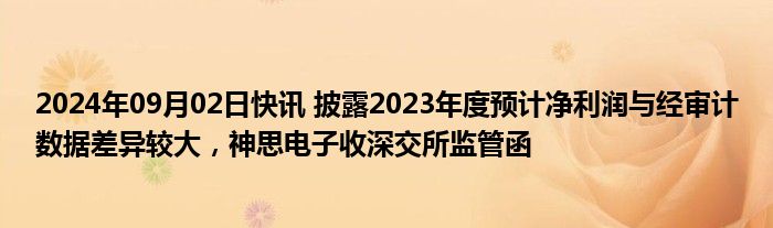 2024年09月02日快讯 披露2023年度预计净利润与经审计数据差异较大，神思电子收深交所监管函