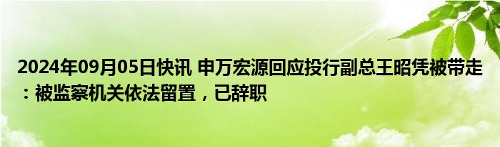 2024年09月05日快讯 申万宏源回应投行副总王昭凭被带走：被监察机关依法留置，已辞职