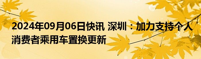 2024年09月06日快讯 深圳：加力支持个人消费者乘用车置换更新