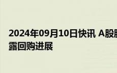 2024年09月10日快讯 A股股票回购一览：昨日32家公司披露回购进展