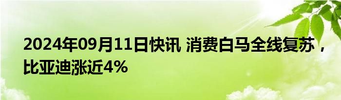 2024年09月11日快讯 消费白马全线复苏，比亚迪涨近4%