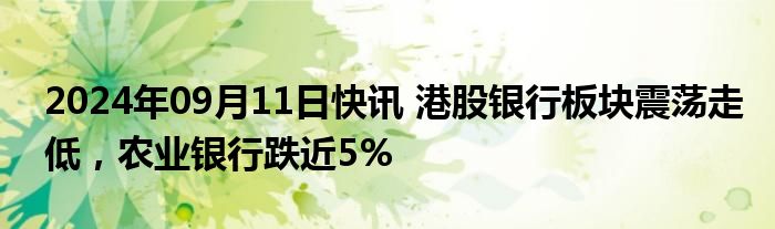 2024年09月11日快讯 港股银行板块震荡走低，农业银行跌近5%