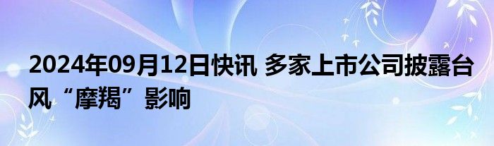 2024年09月12日快讯 多家上市公司披露台风“摩羯”影响