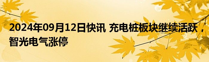 2024年09月12日快讯 充电桩板块继续活跃，智光电气涨停