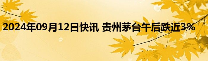 2024年09月12日快讯 贵州茅台午后跌近3%