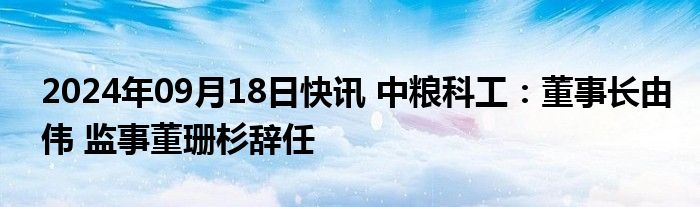 2024年09月18日快讯 中粮科工：董事长由伟 监事董珊杉辞任