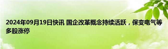 2024年09月19日快讯 国企改革概念持续活跃，保变电气等多股涨停