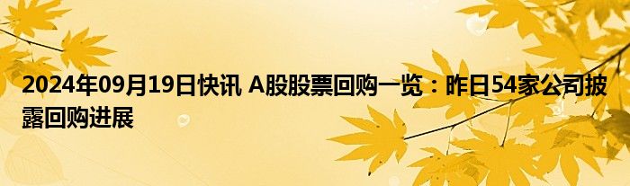 2024年09月19日快讯 A股股票回购一览：昨日54家公司披露回购进展