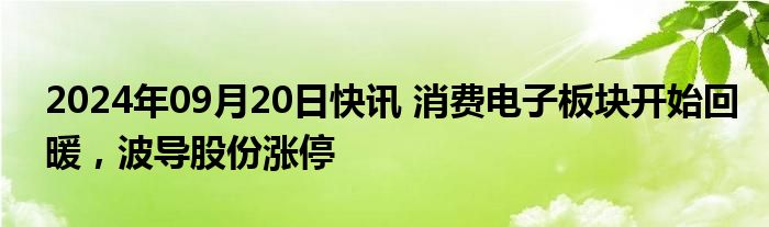 2024年09月20日快讯 消费电子板块开始回暖，波导股份涨停