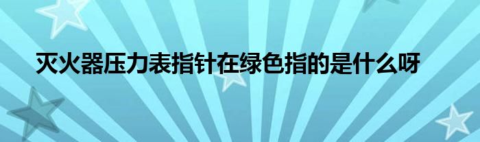 灭火器压力表指针在绿色指的是什么呀