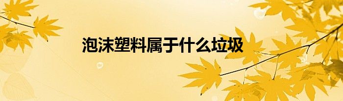 泡沫塑料属于什么垃圾