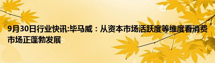 9月30日行业快讯:毕马威：从资本市场活跃度等维度看消费市场正蓬勃发展