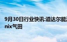 9月30日行业快讯:道达尔能源启动投产位于阿根廷南部的Fenix气田