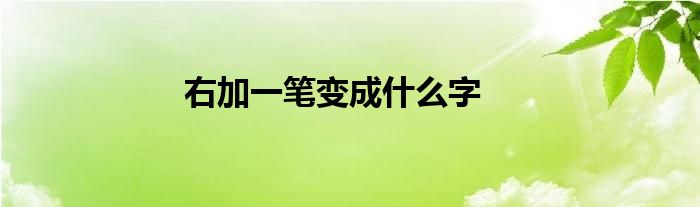 右加一笔变成什么字