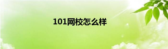 101网校怎么样