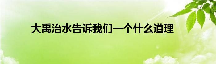 大禹治水告诉我们一个什么道理