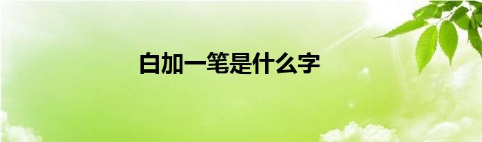 白加一笔是什么字