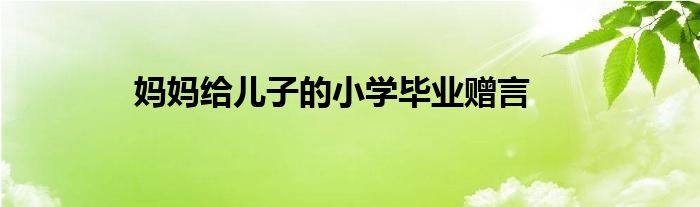 妈妈给儿子的小学毕业赠言