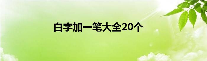 白字加一笔大全20个