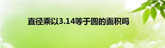 直径乘以3.14等于圆的面积吗