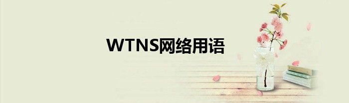 WTNS网络用语