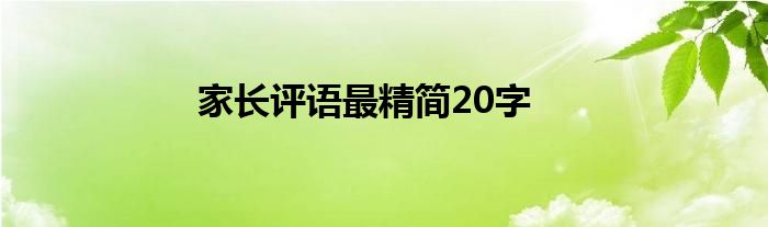 家长评语最精简20字