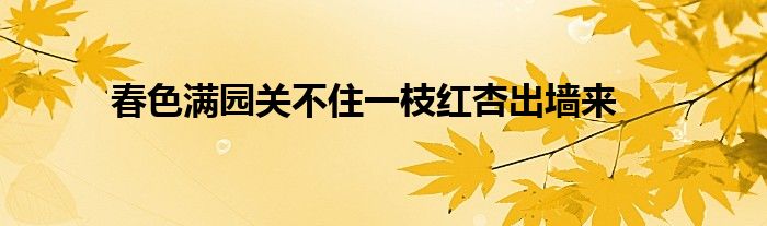 春色满园关不住一枝红杏出墙来