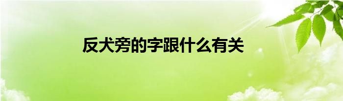 反犬旁的字跟什么有关