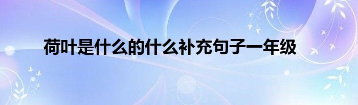 荷叶是什么的什么补充句子一年级