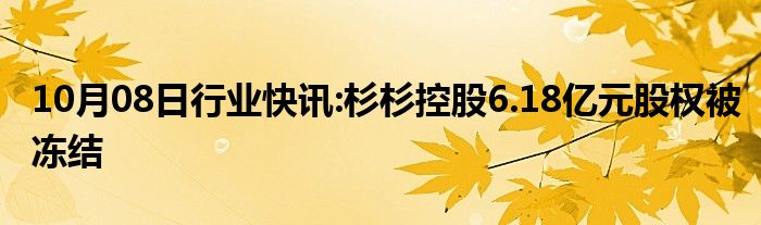 10月08日行业快讯:杉杉控股6.18亿元股权被冻结