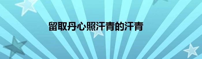 留取丹心照汗青的汗青