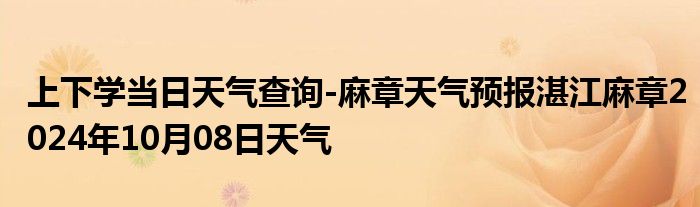 上下学当日天气查询-麻章天气预报湛江麻章2024年10月08日天气