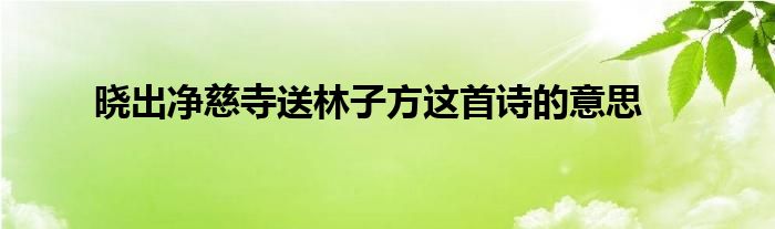 晓出净慈寺送林子方这首诗的意思