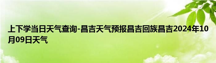 上下学当日天气查询-昌吉天气预报昌吉回族昌吉2024年10月09日天气