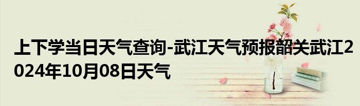 上下学当日天气查询-武江天气预报韶关武江2024年10月08日天气