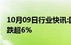 10月09日行业快讯:国内商品期货收盘，玻璃跌超6%