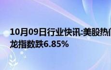 10月09日行业快讯:美股热门中概股普跌，纳斯达克中国金龙指数跌6.85%