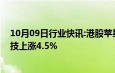 10月09日行业快讯:港股苹果概念股持续走高，舜宇光学科技上涨4.5%