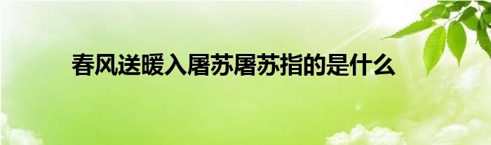 春风送暖入屠苏屠苏指的是什么