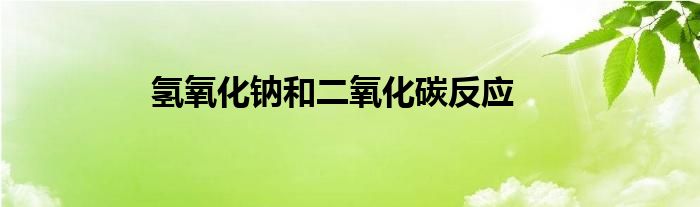 氢氧化钠和二氧化碳反应