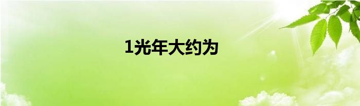 1光年大约为