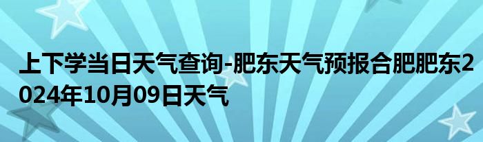 上下学当日天气查询-肥东天气预报合肥肥东2024年10月09日天气